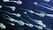 Pros and Cons of Sperm Retention