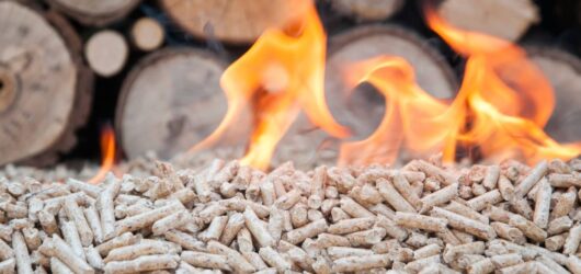 Biomass Energy: A Sustainable Solution or Hidden Risk?